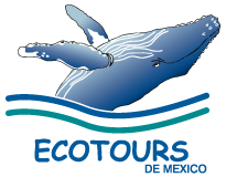ecotours_logo.png